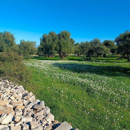 Che Vista!! Ostuni ,Sulle Bianche Mura Con Vista Mozzafiato Kültér fotó