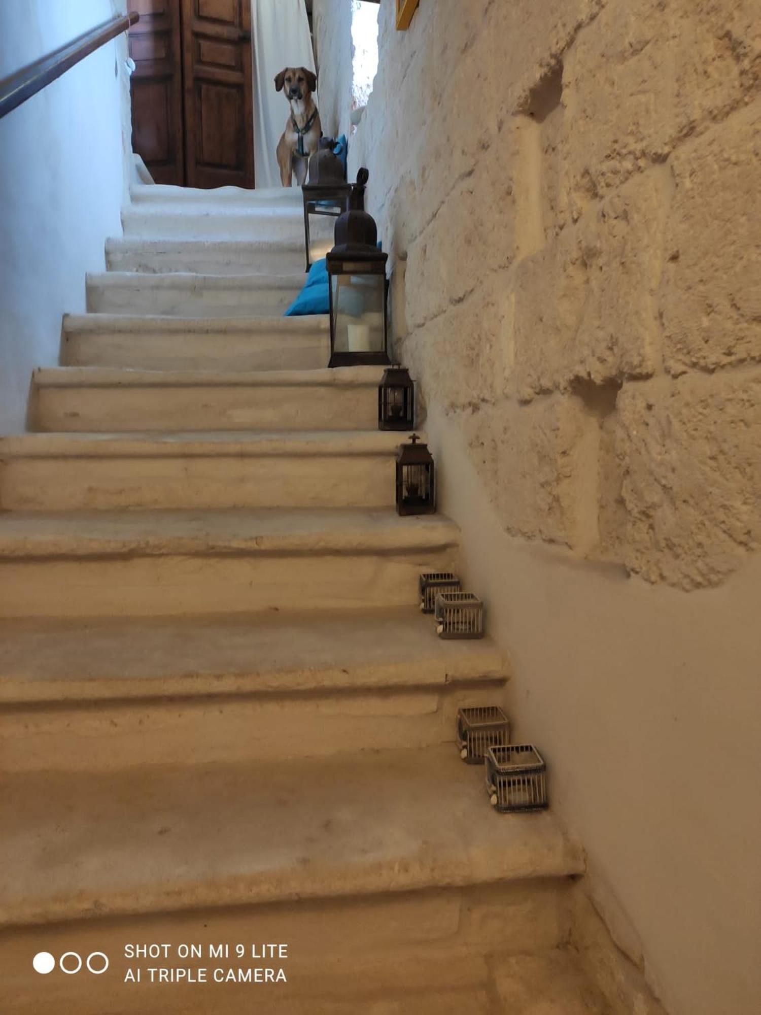 Che Vista!! Ostuni ,Sulle Bianche Mura Con Vista Mozzafiato Kültér fotó